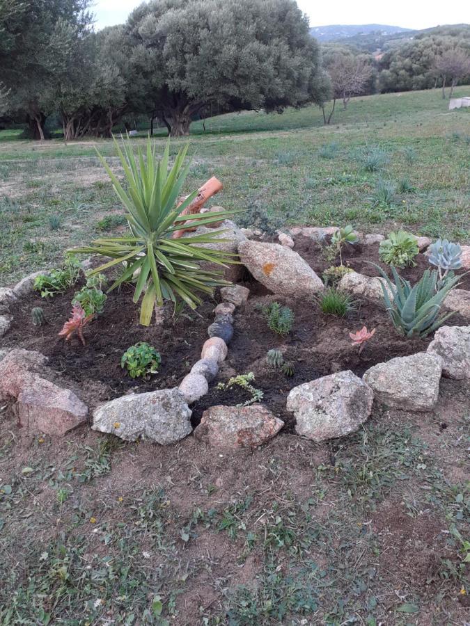 Gli Olivastri Con Piscina,Solarium, Vista Mare ,Sole -Mare E Tanta Natura ,Climatizzatore,Wifi Aglientu Exterior foto