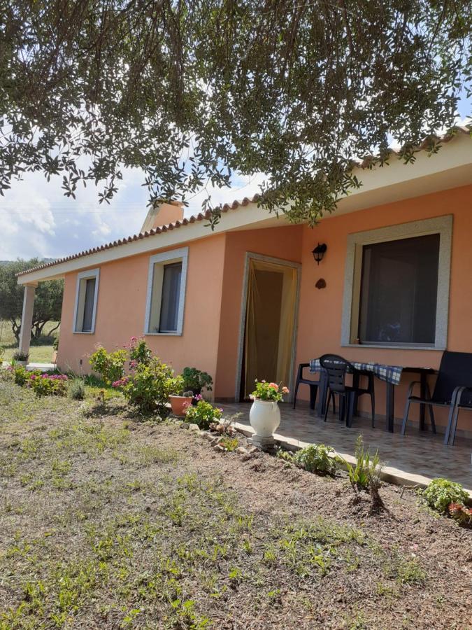 Gli Olivastri Con Piscina,Solarium, Vista Mare ,Sole -Mare E Tanta Natura ,Climatizzatore,Wifi Aglientu Exterior foto