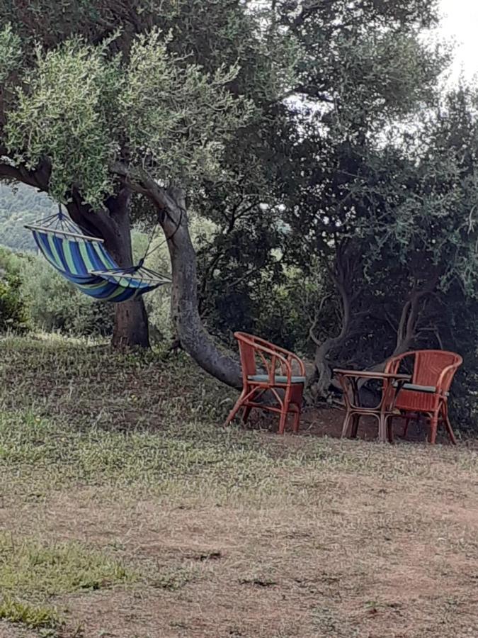 Gli Olivastri Con Piscina,Solarium, Vista Mare ,Sole -Mare E Tanta Natura ,Climatizzatore,Wifi Aglientu Exterior foto