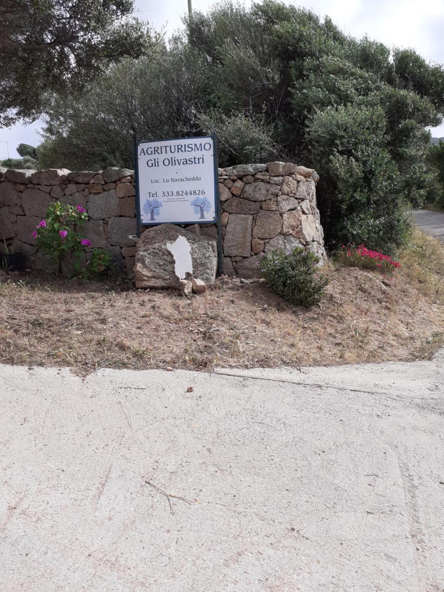 Gli Olivastri Con Piscina,Solarium, Vista Mare ,Sole -Mare E Tanta Natura ,Climatizzatore,Wifi Aglientu Exterior foto