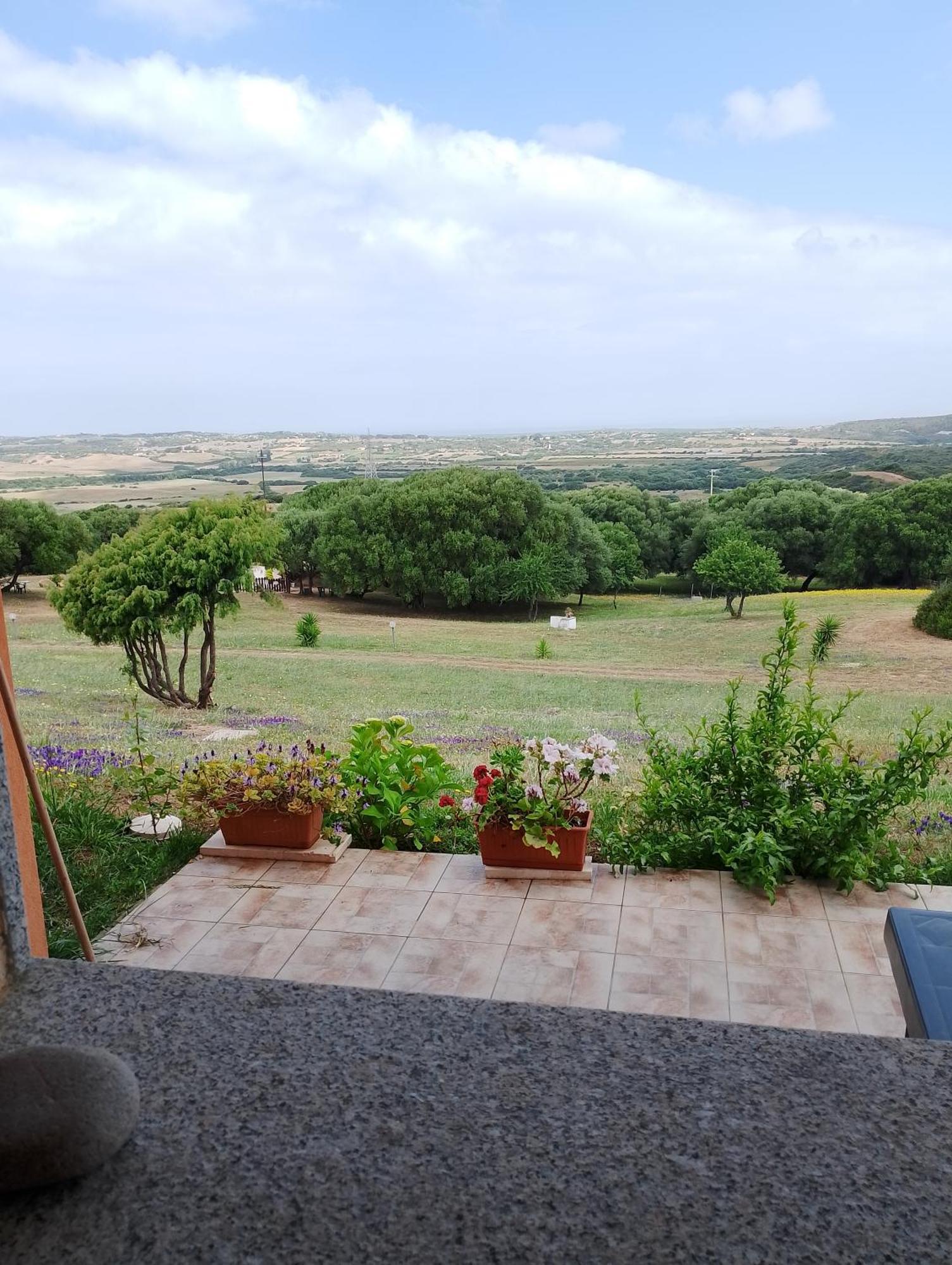 Gli Olivastri Con Piscina,Solarium, Vista Mare ,Sole -Mare E Tanta Natura ,Climatizzatore,Wifi Aglientu Exterior foto