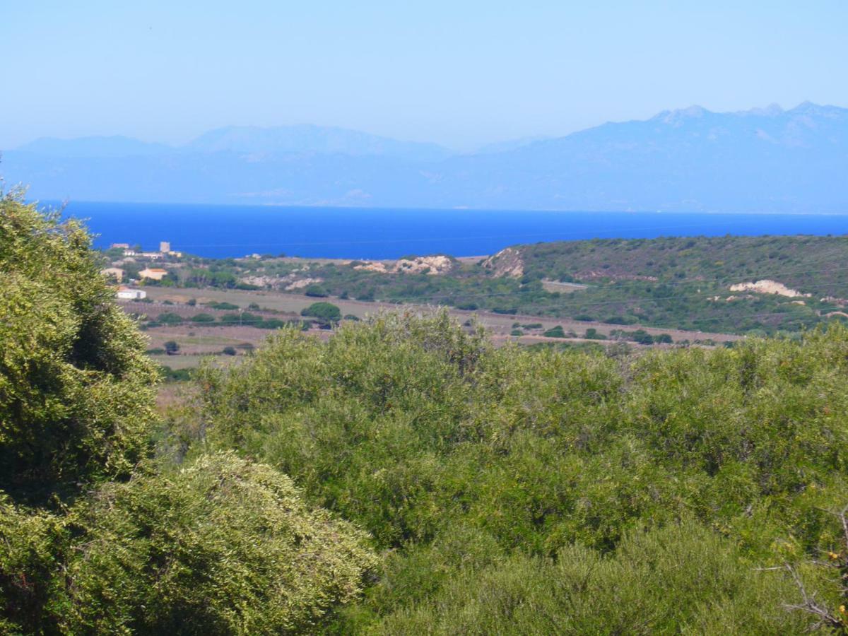 Gli Olivastri Con Piscina,Solarium, Vista Mare ,Sole -Mare E Tanta Natura ,Climatizzatore,Wifi Aglientu Exterior foto