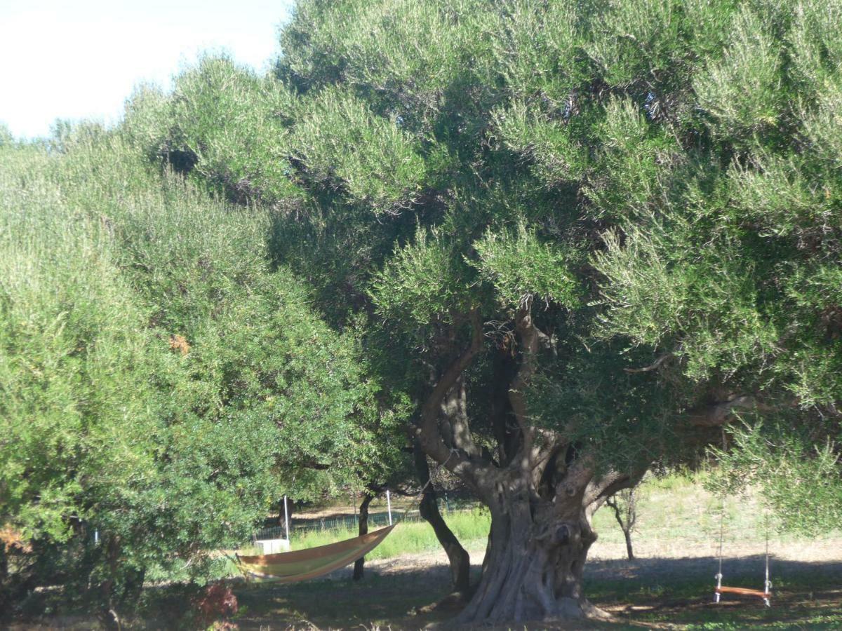 Gli Olivastri Con Piscina,Solarium, Vista Mare ,Sole -Mare E Tanta Natura ,Climatizzatore,Wifi Aglientu Exterior foto