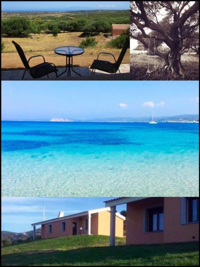 Gli Olivastri Con Piscina,Solarium, Vista Mare ,Sole -Mare E Tanta Natura ,Climatizzatore,Wifi Aglientu Exterior foto