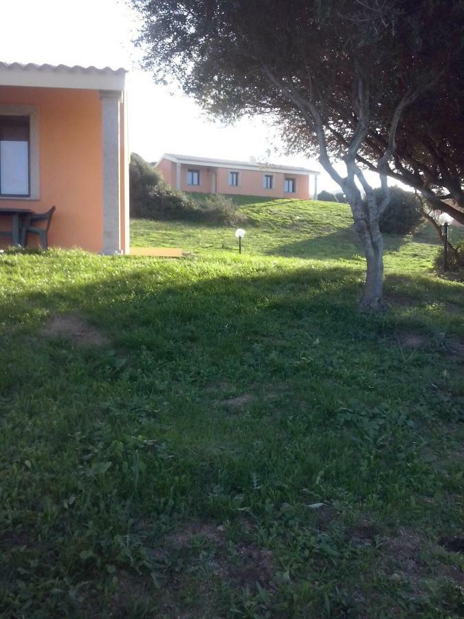 Gli Olivastri Con Piscina,Solarium, Vista Mare ,Sole -Mare E Tanta Natura ,Climatizzatore,Wifi Aglientu Exterior foto